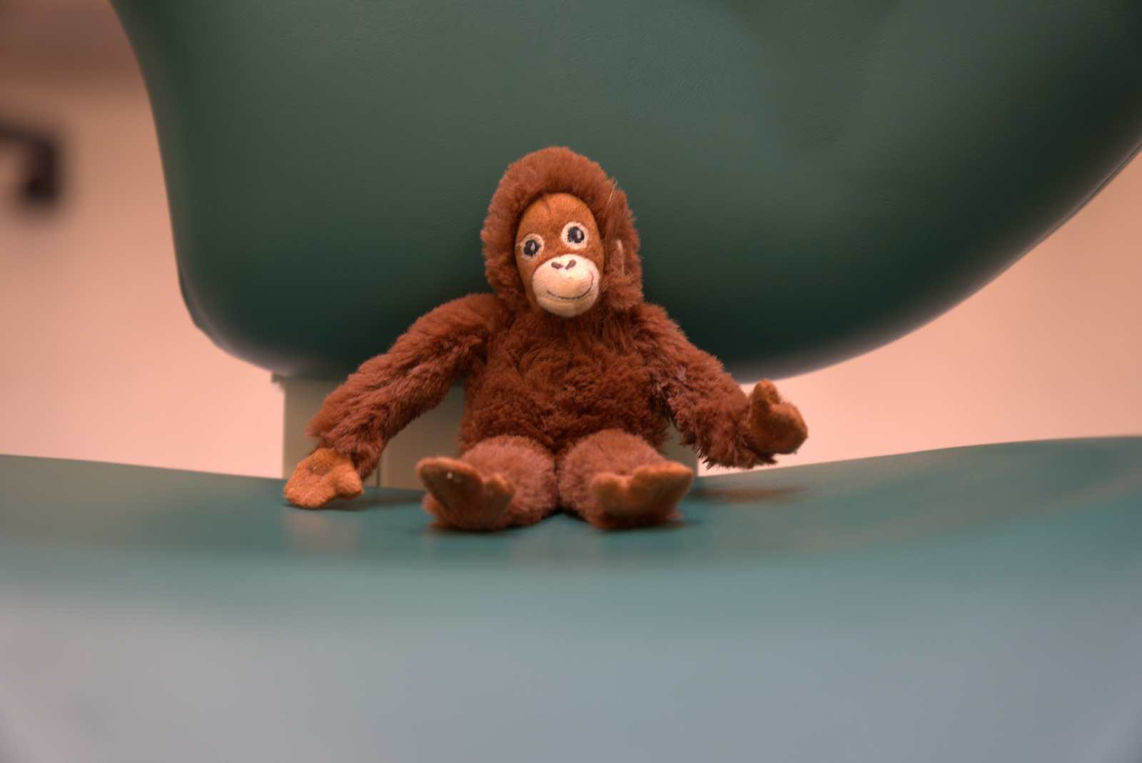 изображение с обезьяной